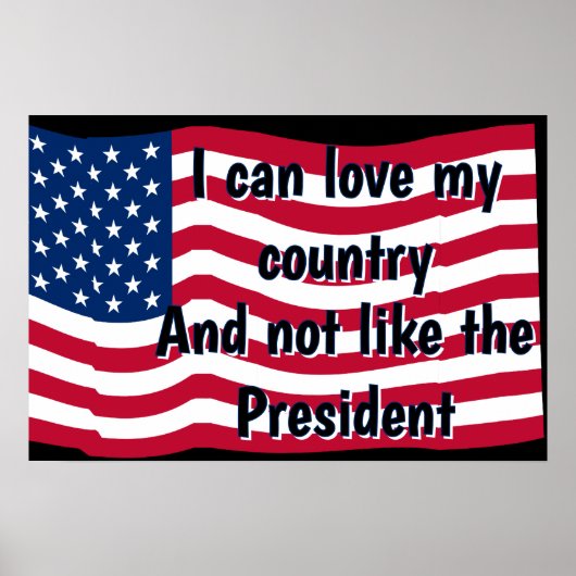 Liebe Land Nicht Präsident Poster (Vorne)