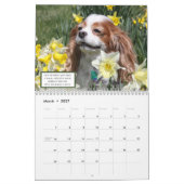 Liebe, Laugh & Relax Cavalier King Charles Spaniel Kalender (Mär 2027)