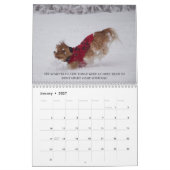 Liebe, Laugh & Relax Cavalier King Charles Spaniel Kalender (Jan 2027)