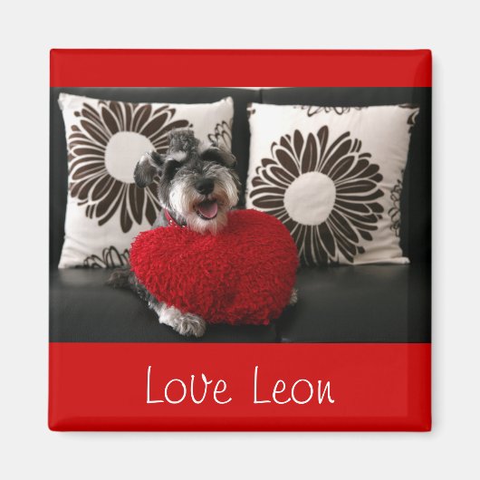 Liebe Leon Magnet (Vorne)