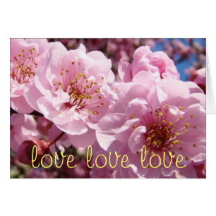 Liebe-Liebe-Liebe Sie Sie Sie Karten Valentines