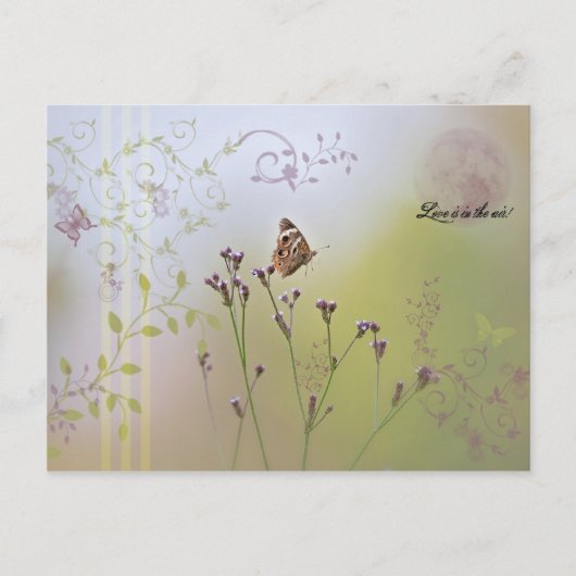 Liebe liegt in der Luft! Postkarte (Vorderseite)