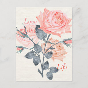 Liebe Life Creme floraler Postkartendesigner Postkarte