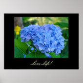 Liebe Life! Kunstdrucke Blue Hydrangea Floral art Poster (Vorne)