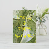 Liebe Life & Thrill-Flachbildschirm (Stehend Vorderseite)