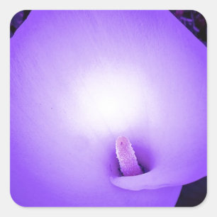 Liebe Light, Lilie_ Quadratischer Aufkleber