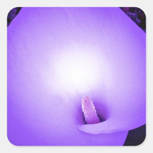 Liebe Light, Lilie_ Quadratischer Aufkleber (Vorderseite)