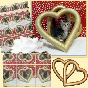 Liebe, Lilo - Adorable Cat / Kitten Packpapier