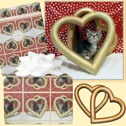 Liebe, Lilo - Adorable Cat / Kitten Packpapier