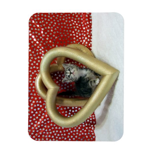 Liebe, Lilo - Herzkatze / Kitten Magnet (Vertikal)