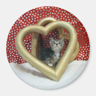 Liebe, Lilo - Herzkatze / Kitten Magnet