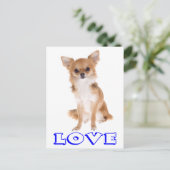Liebe Long Hair Chihuahua Welpe Doppy Post Card Postkarte (Stehend Vorderseite)