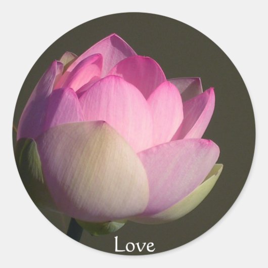 Liebe Lotus Runder Aufkleber (Vorderseite)