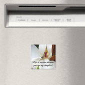 Liebe Magnet (In Situ (Geschirrspüler))