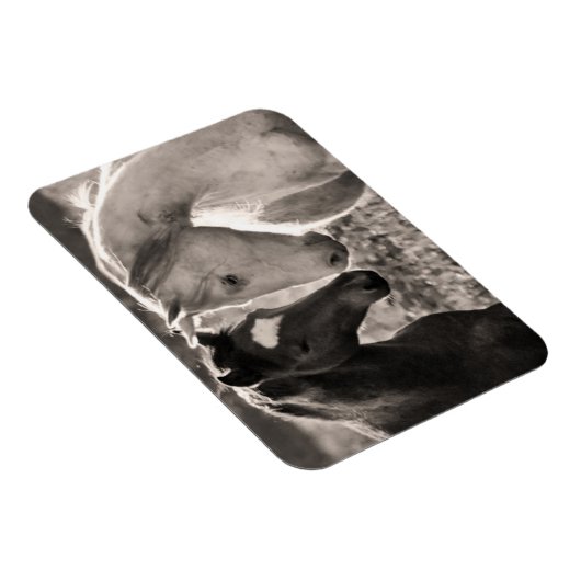 Liebe Magnet (Rechte Seite)