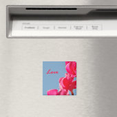 Liebe Magnet (In Situ (Geschirrspüler))