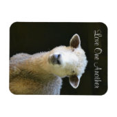 Liebe Magnet (Horizontal)