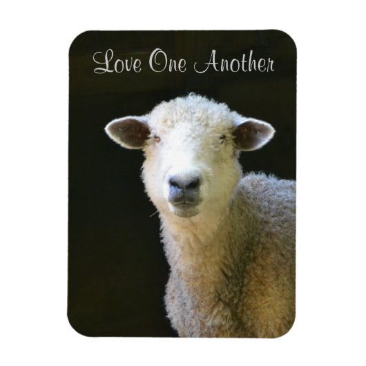 Liebe Magnet (Vertikal)