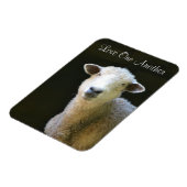 Liebe Magnet (Linke Seite)