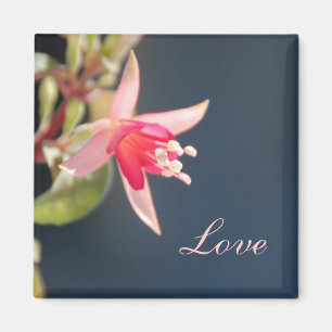 Liebe-Magnet Magnet