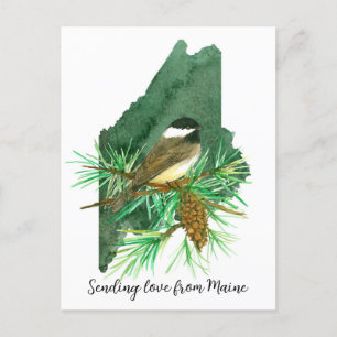 Liebe Maine Chickadee Pinecone Tassel Postkarte