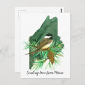 Liebe Maine Chickadee Pinecone Tassel Postkarte (Vorne/Hinten)
