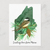 Liebe Maine Chickadee Pinecone Tassel Postkarte (Vorderseite)