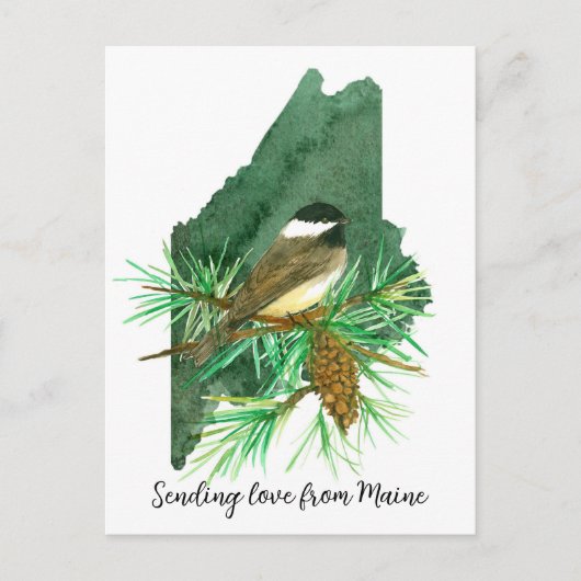 Liebe Maine Chickadee Pinecone Tassel Postkarte (Vorderseite)