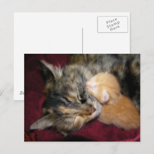 Liebe Mama Postkarte (Vorne/Hinten)