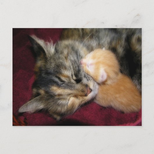 Liebe Mama Postkarte (Vorderseite)