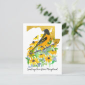 Liebe Maryland Baltimore Oriole Blume senden Postkarte (Stehend Vorderseite)