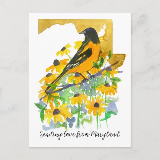 Liebe Maryland Baltimore Oriole Blume senden Postkarte (Vorderseite)