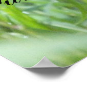 Liebe Me Kitten Poster (Ecke)
