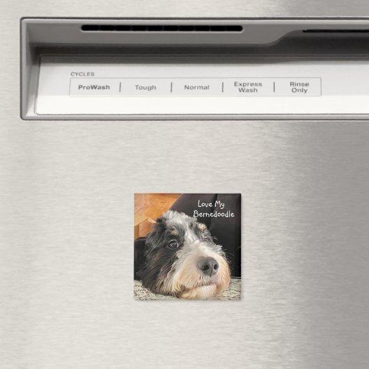 Liebe mein Bernedoodell Magnet (In Situ (Geschirrspüler))