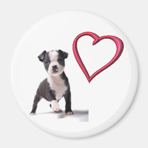 Liebe mein Boston-Welpen-Hundemagnet Magnet