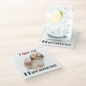 Liebe mein Havanese Glas-Untersetzer Glasuntersetzer (Schrägansicht)