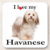 Liebe mein Havanese Untersetzer-Set Untersetzer (Vorderseite)