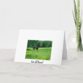 LIEBE MEIN HORSIE! KARTE (Rückseite)