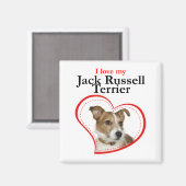 Liebe Mein Jack Russell Terrier Magnet (Vorderseite/Rückseite)