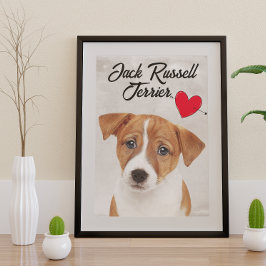 Liebe Mein Jack Russell Terrier Poster