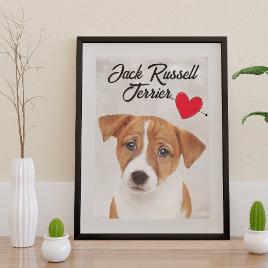 Liebe Mein Jack Russell Terrier Poster