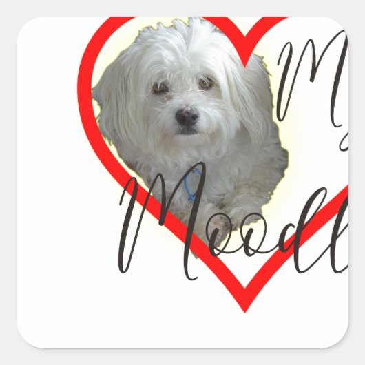 Liebe mein Moodle Quadratischer Aufkleber (Vorderseite)