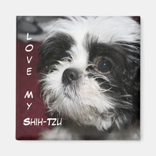 Liebe mein Shih-Tzu Magnet