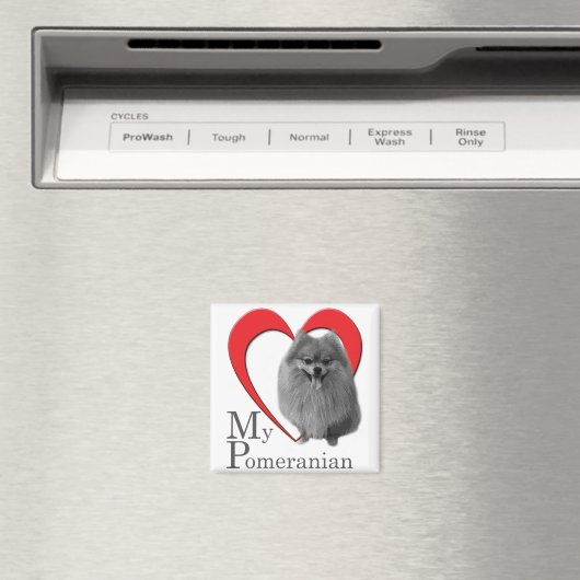 Liebe Mein Spitz Magnet (In Situ (Geschirrspüler))