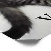 Liebe Mein Tierarzt Zorro Kitty Poster (Ecke)