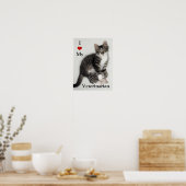 Liebe Mein Tierarzt Zorro Kitty Poster (Küche)