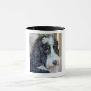 Liebe Mein Vater Bernedoodle Tasse