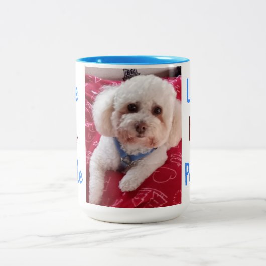 Liebe Meine Poodle-Kaffee-Tasse Zweifarbige Tasse (Mittel)