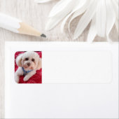 Liebe Meine Poodle-Rücksendeadressen-Aufkleber (Insitu)