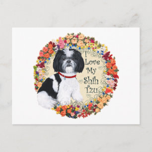 Liebe meinen Shih Tzu Postkarte